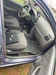 A picture of Cerato
