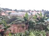 A picture of 2 BEDROOM HOUSE ON WALL PLATE FOR SALE IN MATUGGA