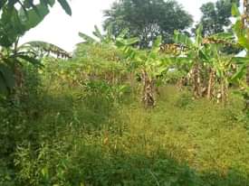 A picture of Land