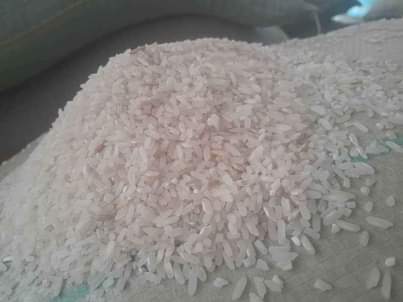 A picture of Rice