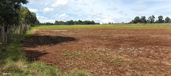 residential plots