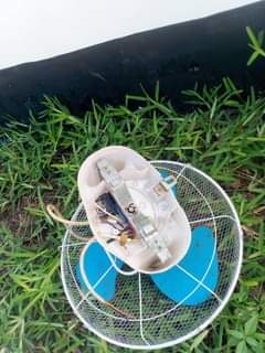 A picture of NAUZA FENI YA JUU DOLPHINS 0789477231