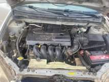 A picture of 2004 Toyota Corolla S S