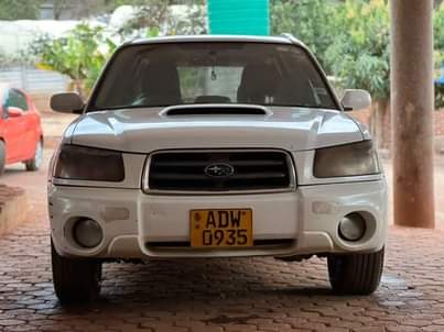 subaru forester