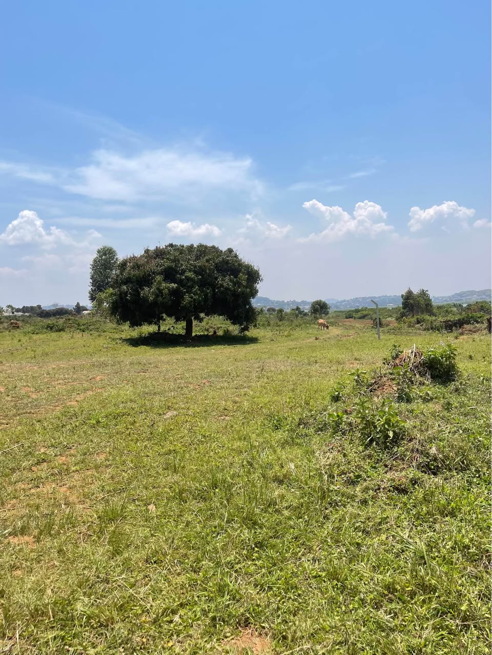 A picture of Lake View Land in Entebbe Kawuku Bwerenga For Sale