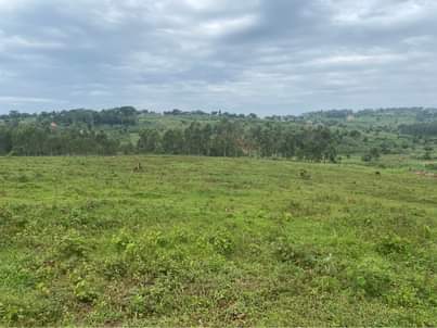 A picture of Plots for sale in our katadde estate at shs 28m