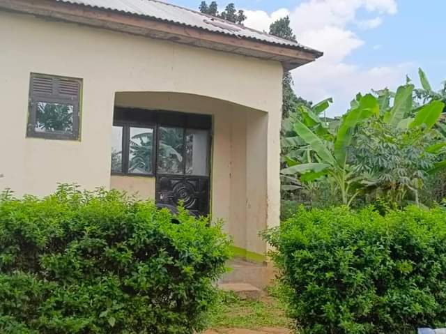 A picture of Cheap hous