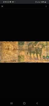 A picture of NYATI NA KIVURI CHA NYERERE