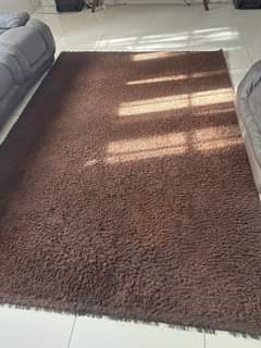 carpets