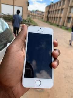 iphones 5s