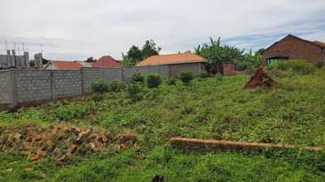 A picture of Quick sale matugga kakelenge estate Size 100by50ft with land title
