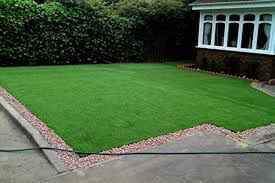 grass