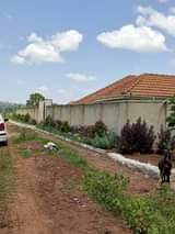 houses kitende