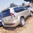A picture of Landcruiser Prado TZ 49m