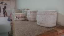 A picture of CAR CATALYTIC COVATERT OBA OBUSANYI BWO MU EXIOS ON SALE