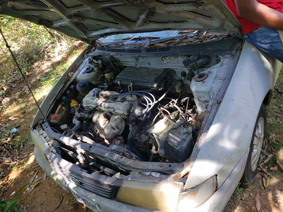 nissan pulsar