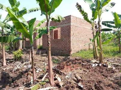 A picture of House for sale at kapeeka nkozi town at 17m ugx