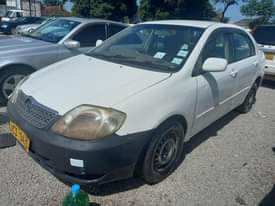 used toyota corolla