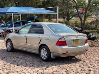 used toyota corolla
