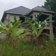 A picture of DONDOLO FLAT HOUSE 160M MATUGGA KAVULE 4 SELF CONTAINED BEDROOMS