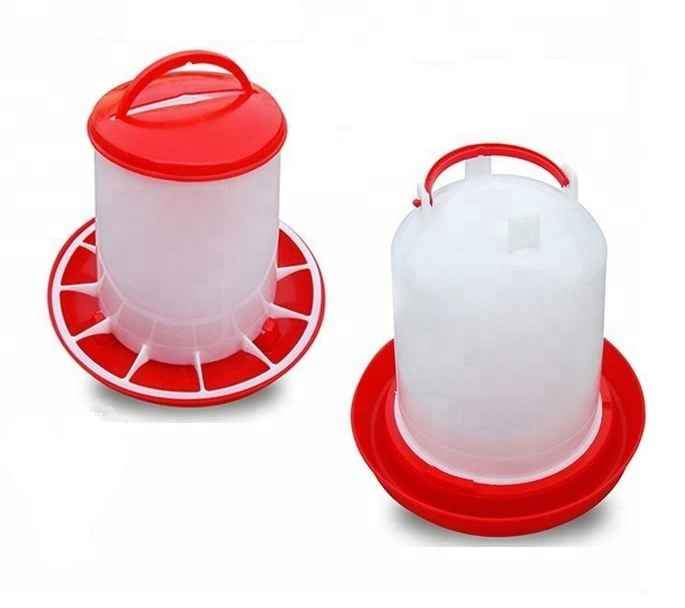 chicken mesh