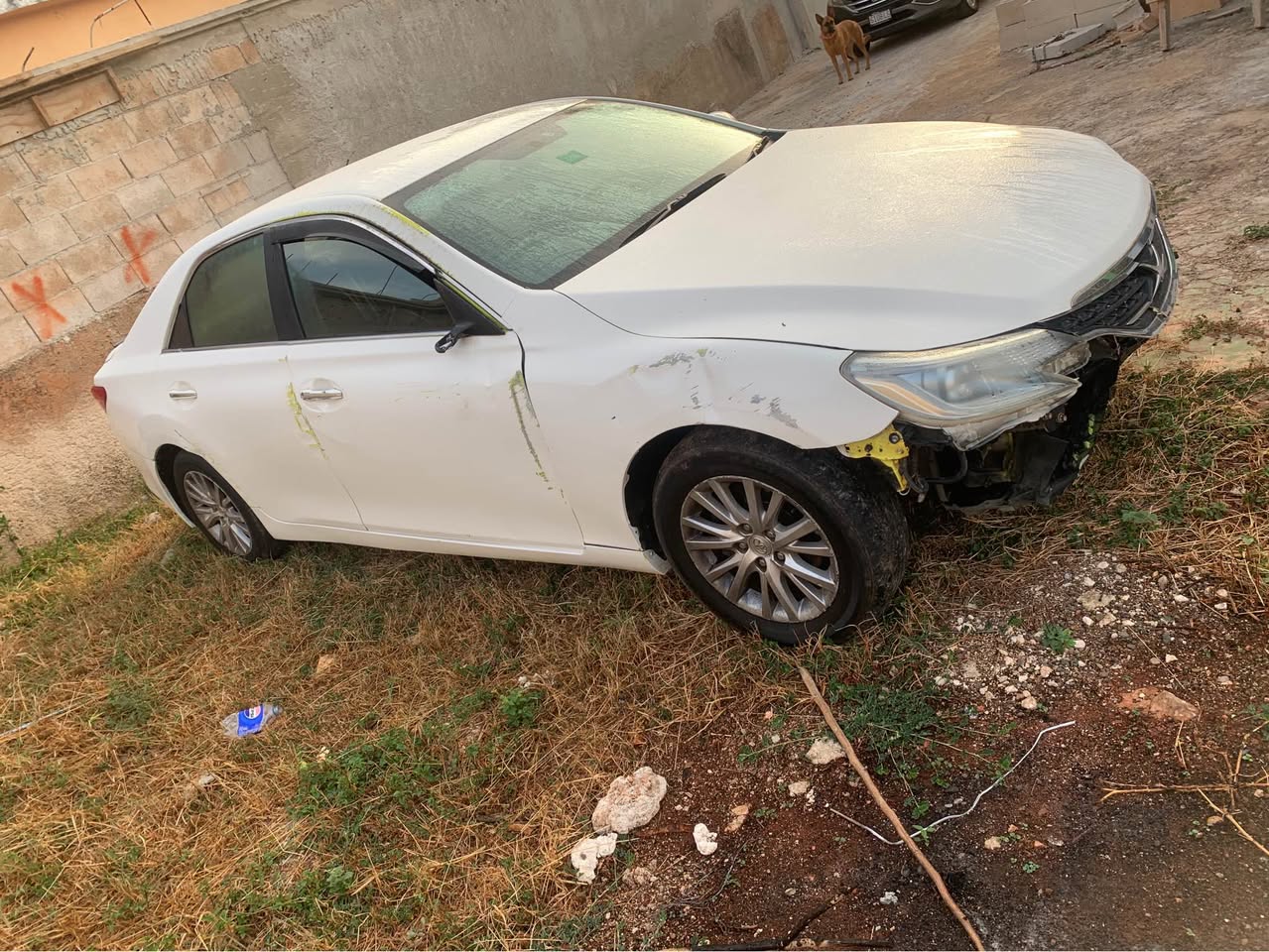 used toyota mark x