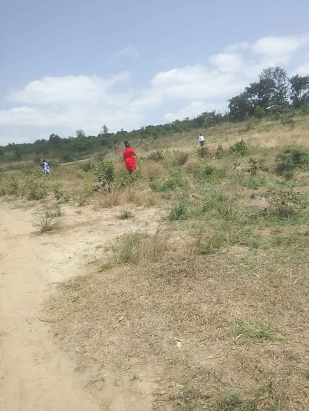 residential plots