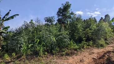 A picture of Acres in Kakiri