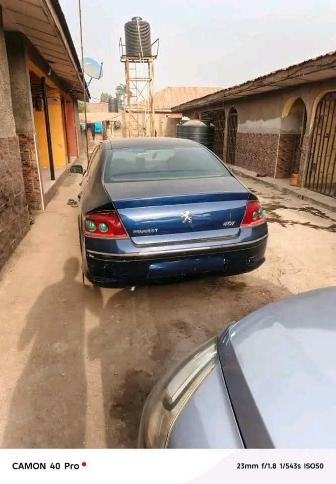 A picture of Manual 407 is available for sale