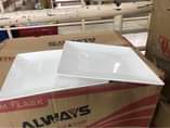 A picture of Ceramic Dinner Plates