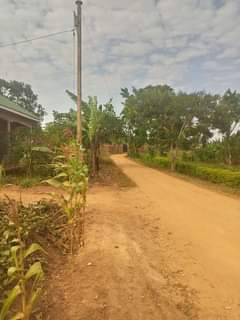 Lwanyaga M.