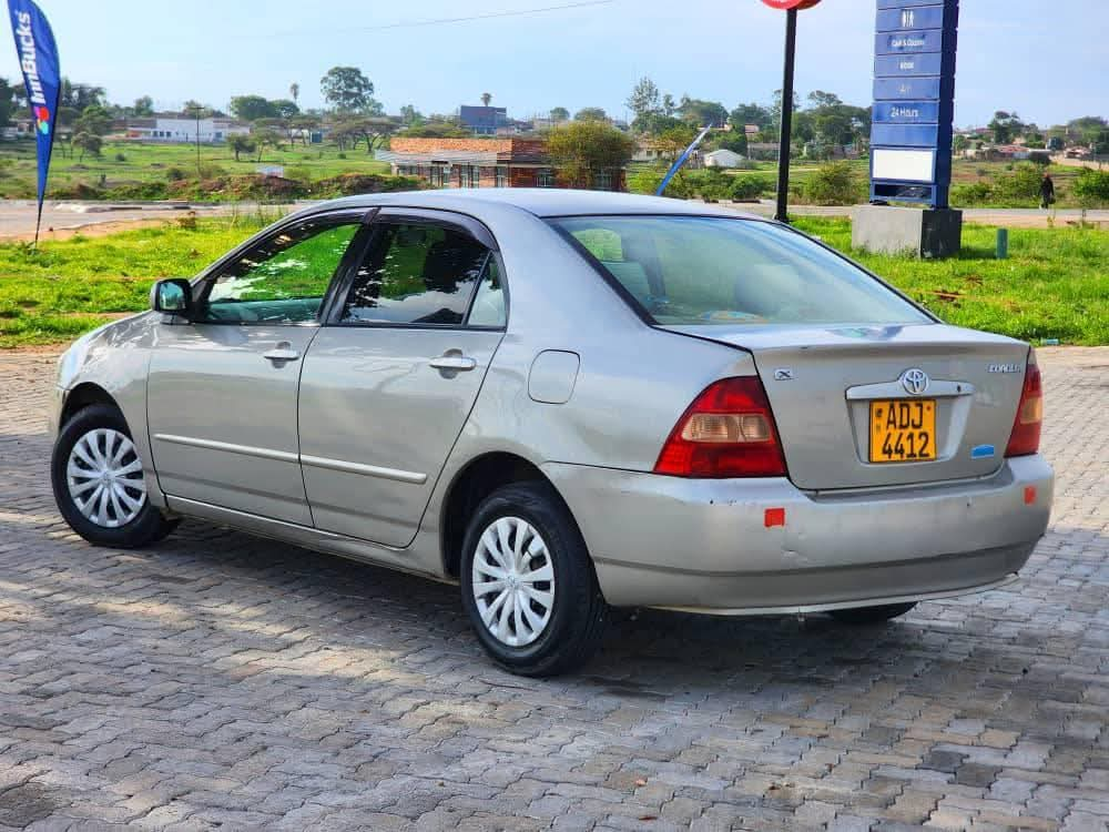 toyota corolla bubble