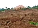 A picture of Become a landlord at cheap price