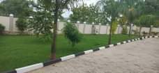 A picture of 6bedroom 6bathrooms on sale in Mukono on 50decimals at 950m