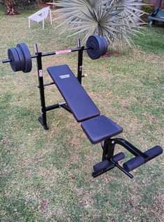 gym equipment