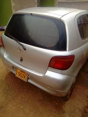 A picture of Vitz