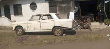 A picture of Pejiot