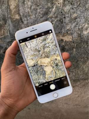 A picture of iPhone 7 Plus