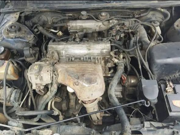A picture of Toyota camry crystal light