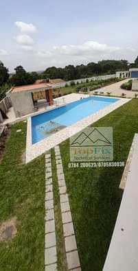 A picture of Swimming pool construction services