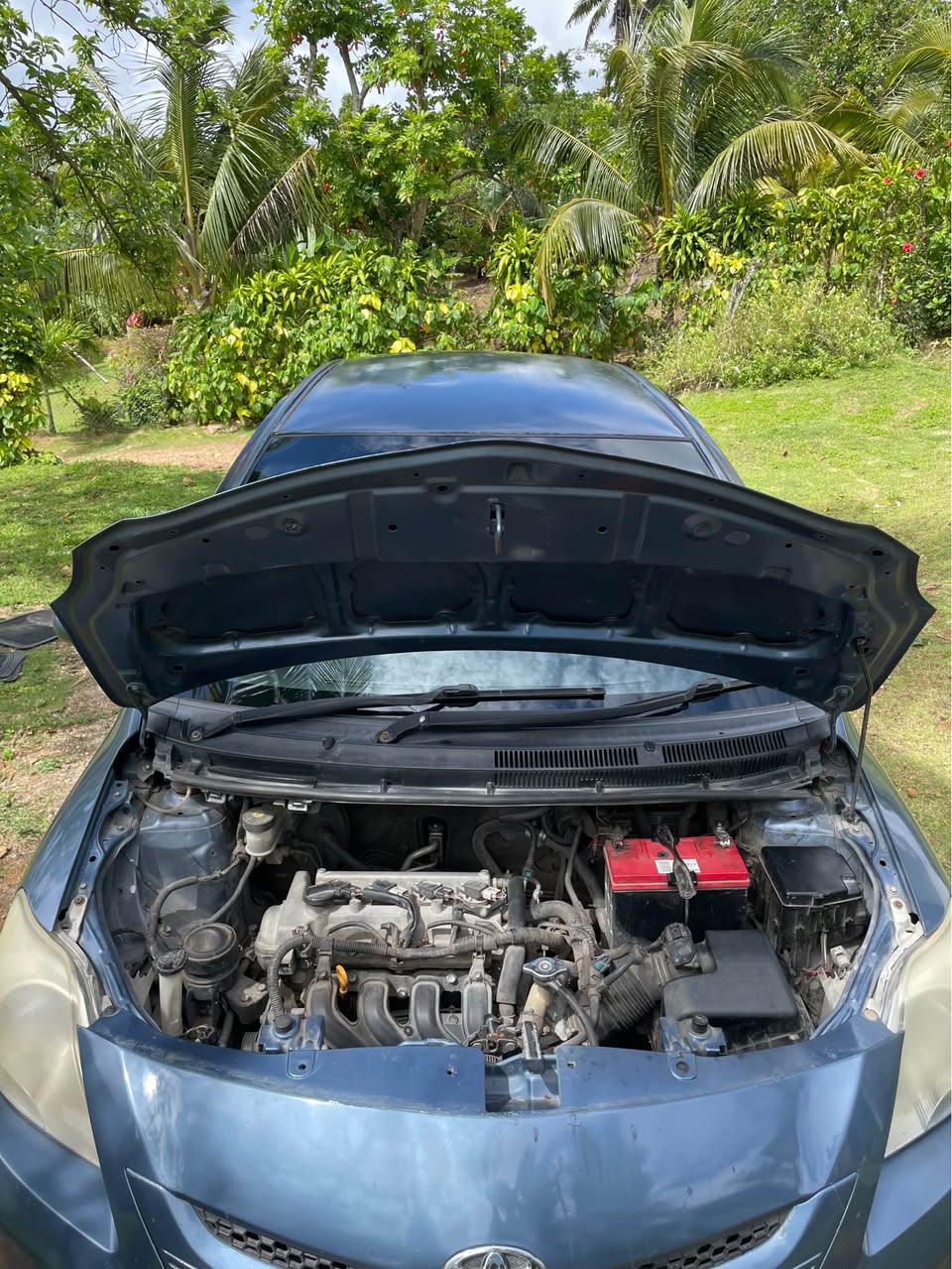 cars