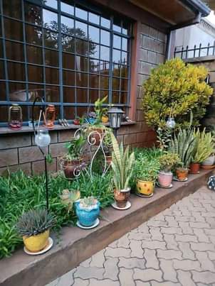 A picture of Fliwers