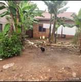 A picture of House for sale