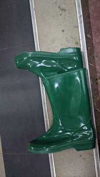 A picture of Gumboots