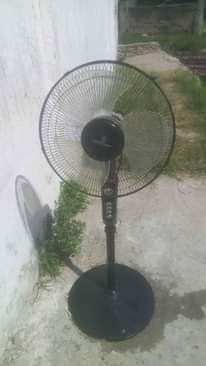 A picture of Feni