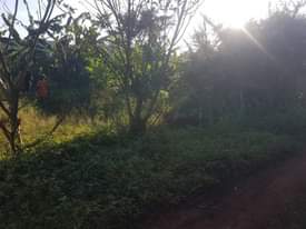 A picture of PLOT IN NSAGGU