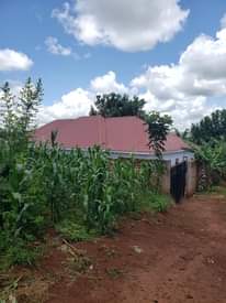 A picture of House for sale in seguku katale