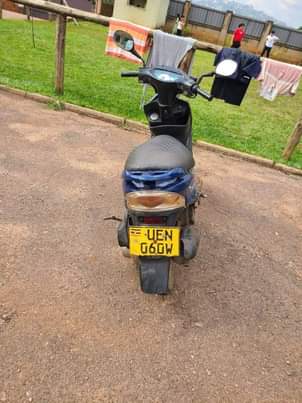 A picture of Scooter