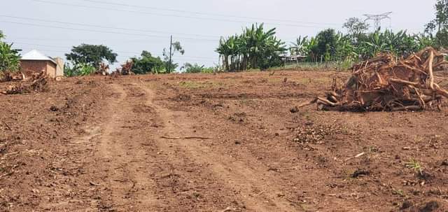 A picture of Plots along mityana road