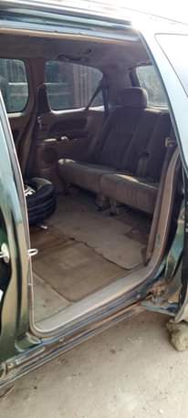 A picture of QUICK FOR SALE